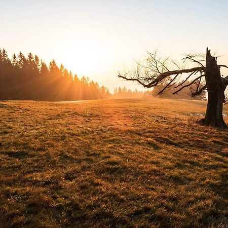Penzion Rondo Bystřice pod Hostýnem Zewnętrze zdjęcie